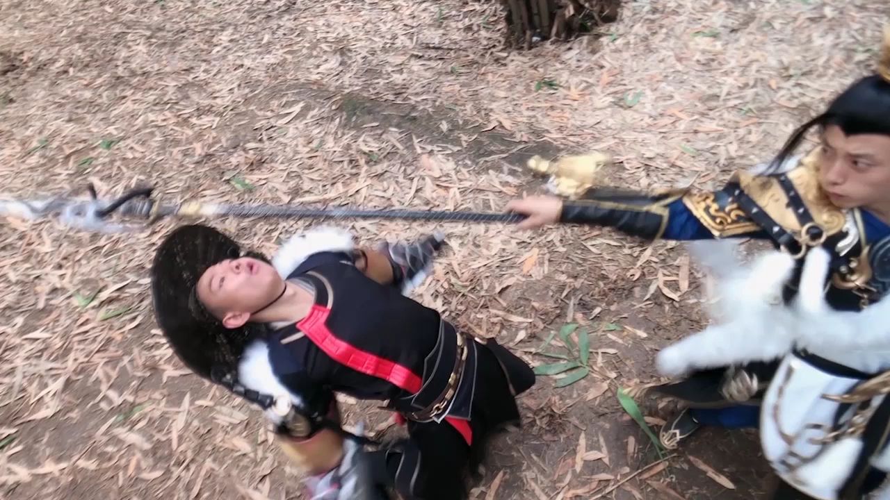 俩大叔的功夫梦